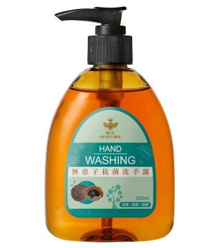 蜂王 無患子抗菌洗手露250ml/產地台灣