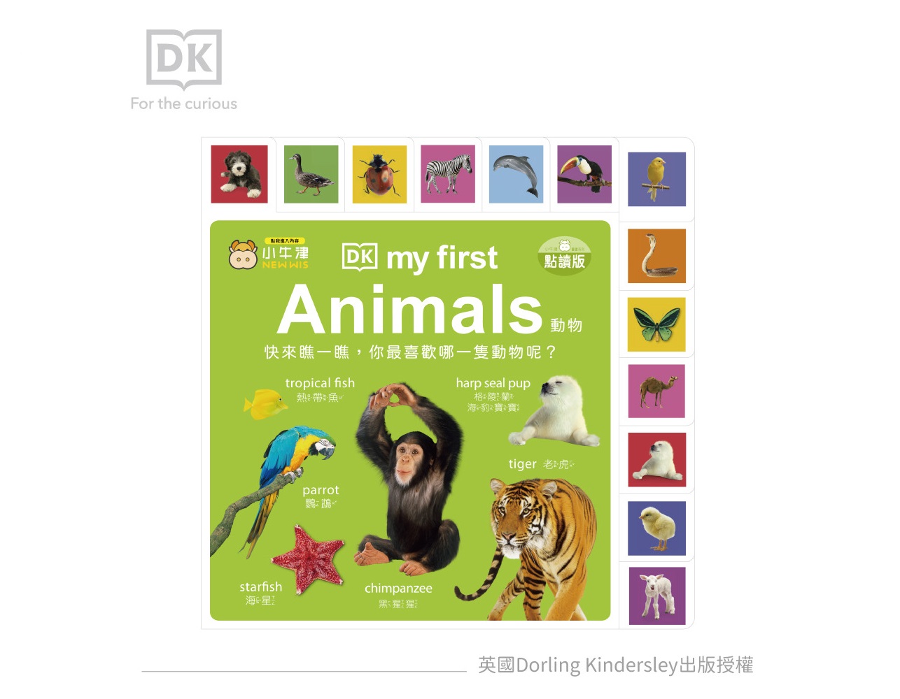 【小牛津】英國DK授權 厚紙書(親子共讀幼幼認知書/中英點讀)