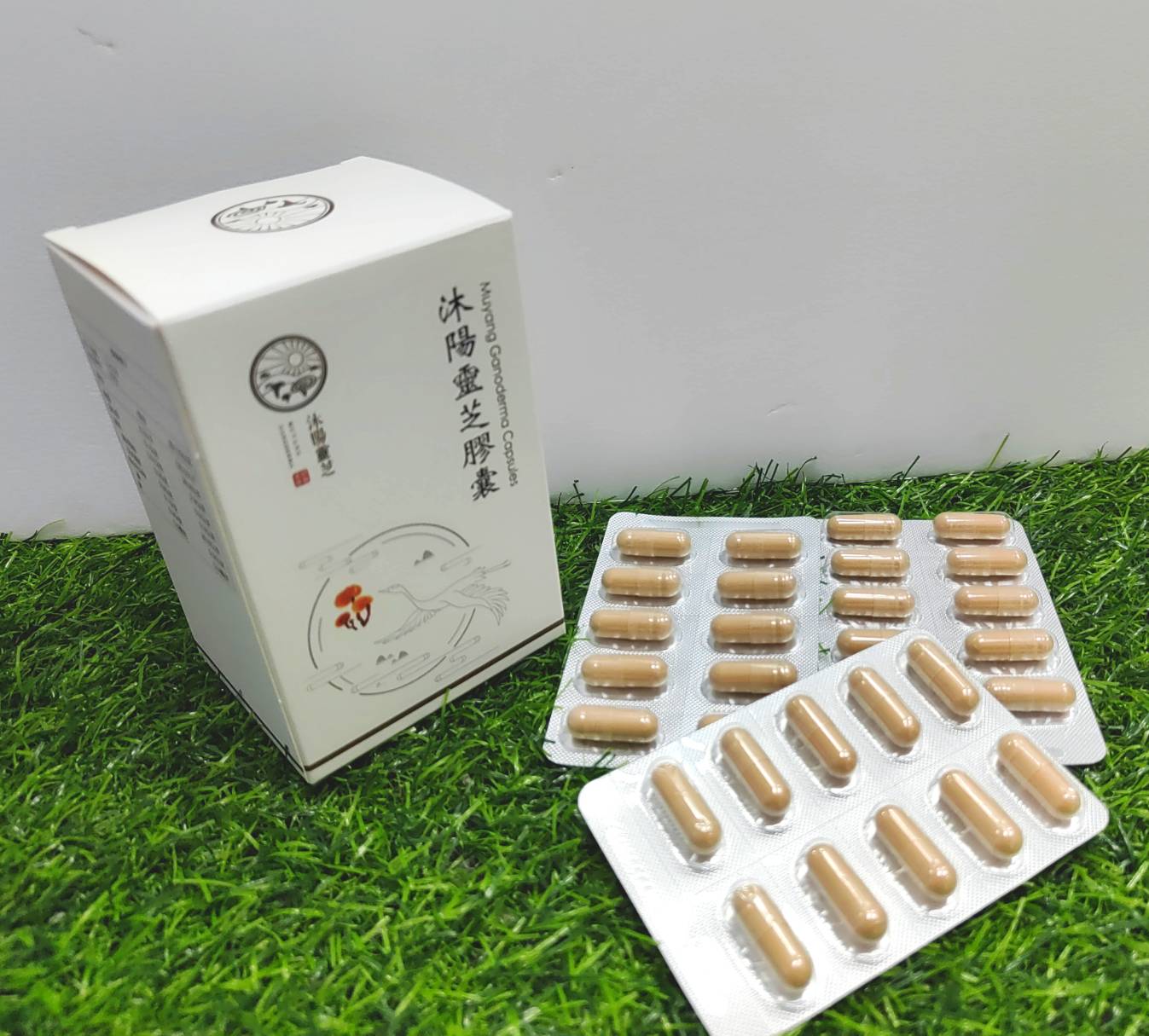 加贈30顆靈芝膠囊(60顆/盒)沐陽靈芝膠囊